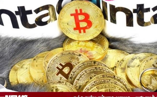 Giá Bitcoin hôm nay 12/11: Bật tăng dữ dội
